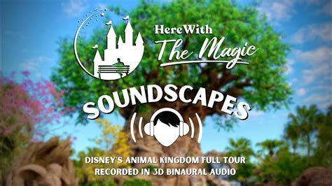 The Power of Music in Disneyland: How Soundtracks Enhance the Magical Experience
